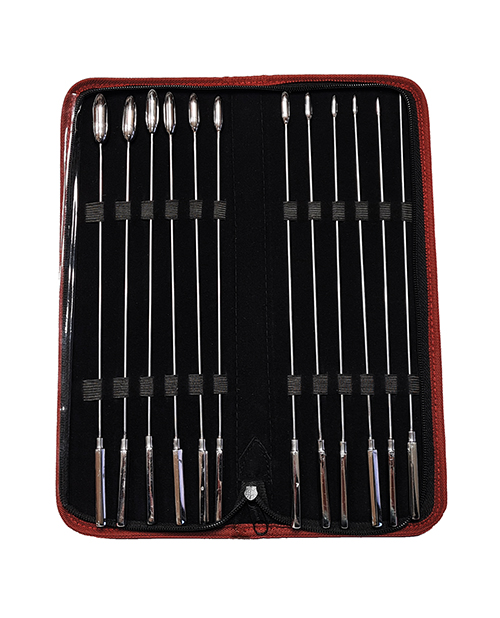 Rouge Stainless Steel Rosebud Dilator Set